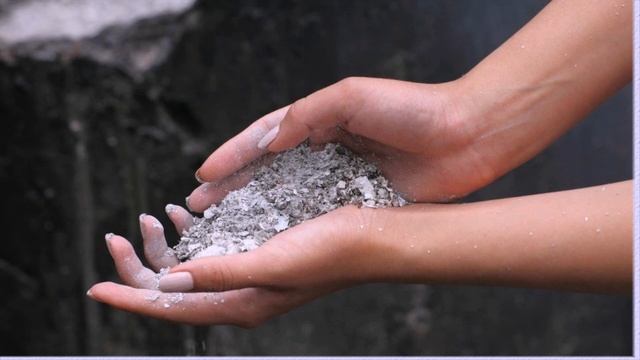 Как избавиться от тли на укропе способы борьбы и профилактика