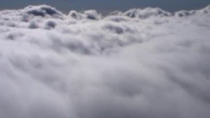 Игорь Гужа - От взлета до взлета