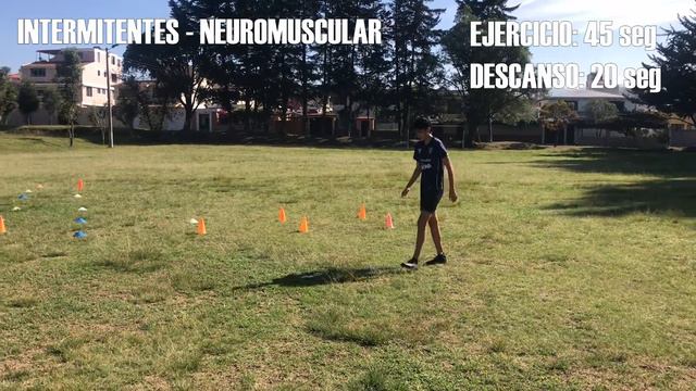 DÍA 11 | Entrenamiento Profesional de Fútbol Formativo | Jorge Torres смотреть онлайн