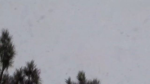 С.Дуткевич стихи Евгения Уран Снежинка на окне смотреть онлайн