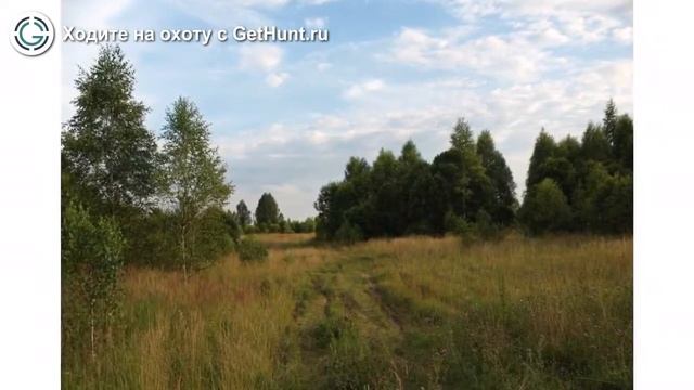 Охота в Смоленской области – ОХОТХОЗЯЙСТВО «РЫСЬ» охота на лося в Смоленской области смотреть онлайн