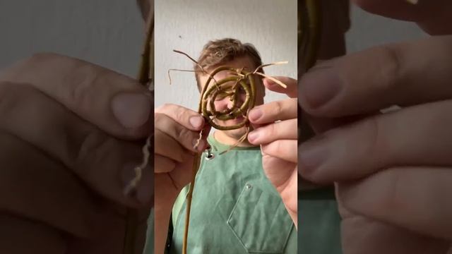 Августовская композиция из девичьего винограда смотреть онлайн