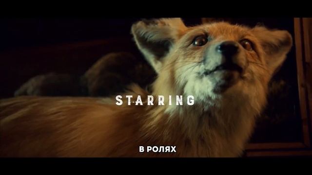 Кабинет редкостей Гильермо дель Торо (1-й сезон) — Русский тизер-трейлер (2022) | Netflix смотреть онлайн