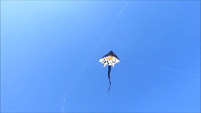 Воздушный змей Vuelo Raya летающий скат на фестивале смотреть онлайн