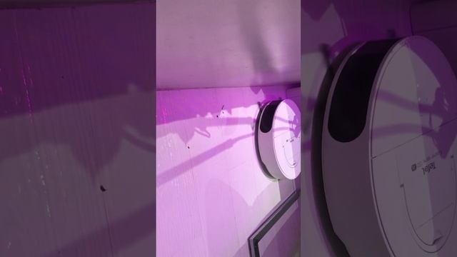 Видео отзыв на робот-пылесос Tefal Xplorer serie 130 AI смотреть онлайн