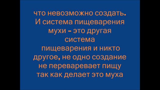 Английские военные летчики Джоэл Хейворд ислам Великобритания смотреть онлайн