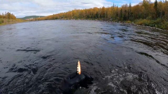 ОТЛИЧНЫЙ ПОДВОДНЫЙ ПОИСК В СЕВЕРНОЙ РЕКЕ / EXCELLENT UNDERWATER SEARCH IN THE NORTHERN RIVER смотреть онлайн