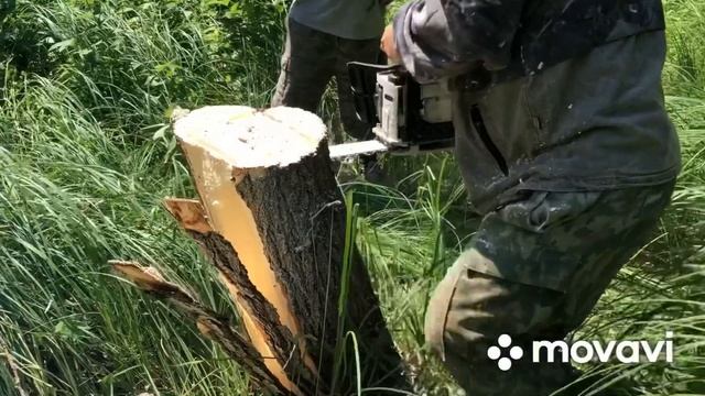 Солонец лесным жителям смотреть онлайн