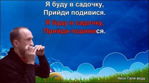 Несе Галя воду караоке на губной гармошке