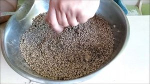 Убойная прикормка на толстолоба. Готовим кашу на толстолоба.