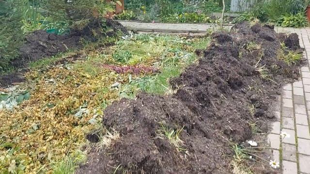 Тёплая грядка под клубнику Осенняя и Весенняя посадка пересадка смотреть онлайн