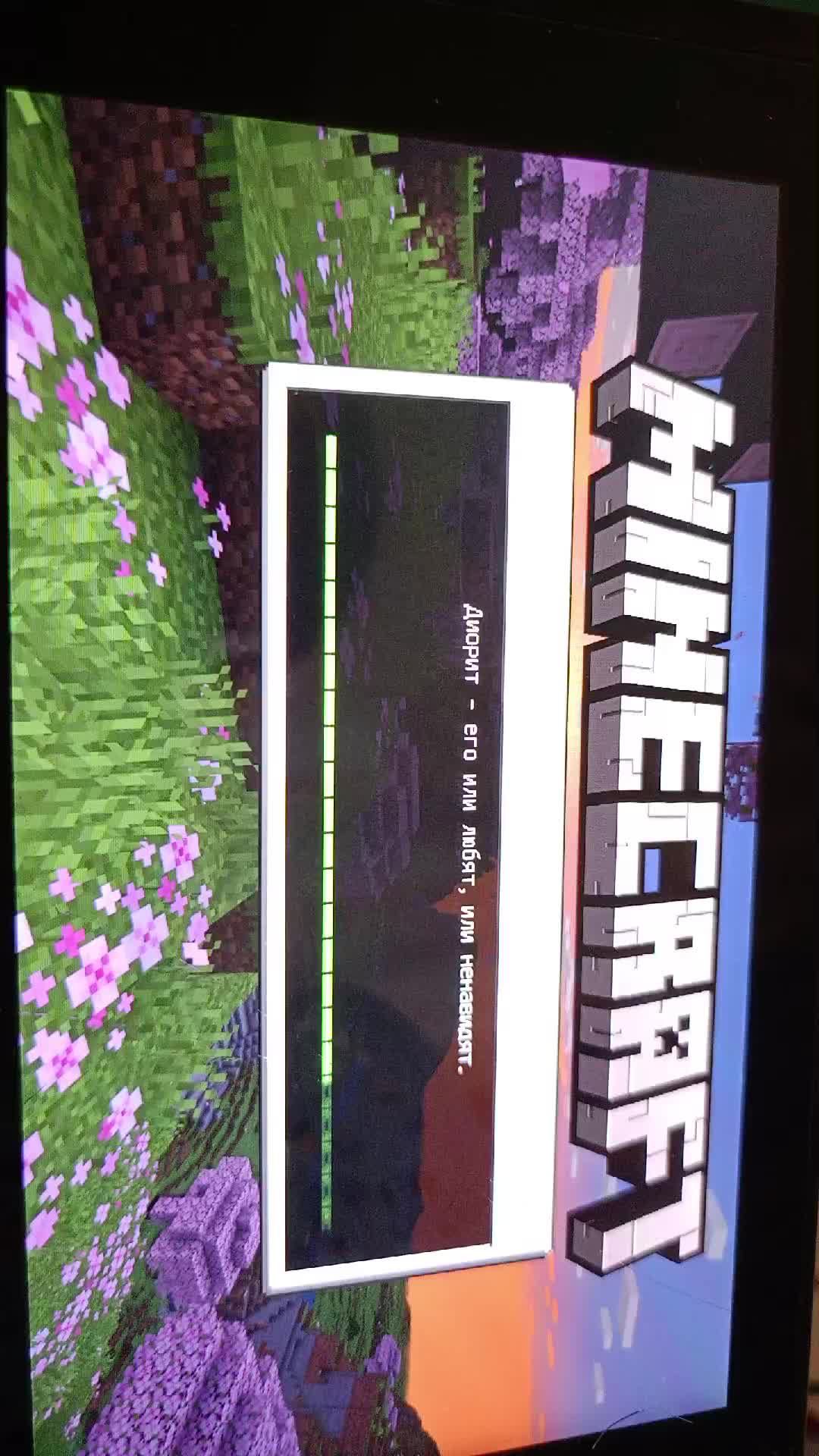 Minecraft