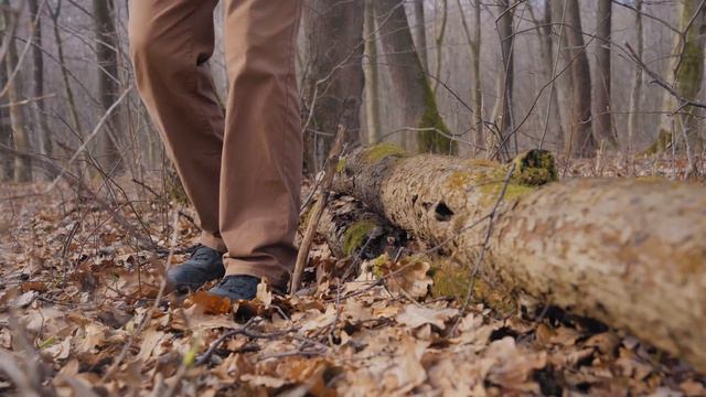 24 ГОДИНИ В ЛІСІ З НАБОРОМ ДЛЯ ВИЖИВАННЯ! смотреть онлайн