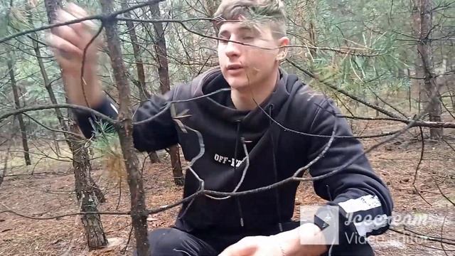 ПОХОД ПО ГРИБЫ!!!НАСОБИРАЛ ПАКЕТ ГРИБОВ!!! смотреть онлайн