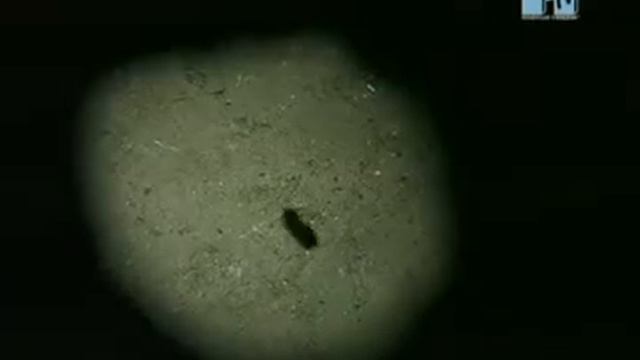 пенза Aria Oskolok lda смотреть онлайн