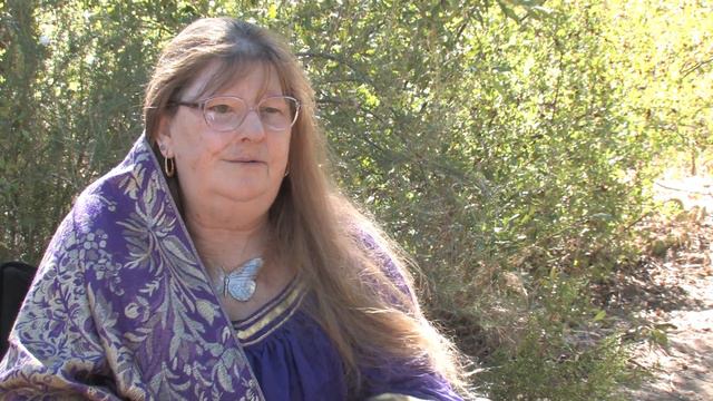 Women's Voices Project - Judi Palmer Clips смотреть онлайн