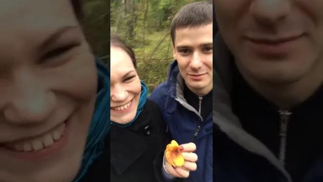 VLOG: осторожно грибы!-сыроежки! Help!) смотреть онлайн