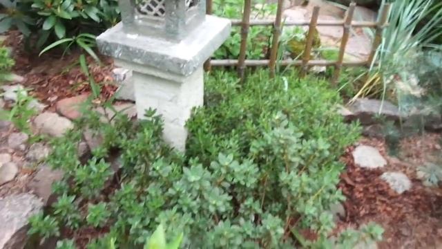 2-я часть - САД ЛЮДМИЛЫ В ОСИНОВОЙ РОЩЕ - Санкт - Петербург -В КОНТАКТЕ-https://vk.com/id127371941