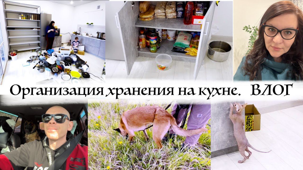 ПЕРЕЕЗД в Тюмень ❤️ Боюсь чтобы НЕ Пол ЗАВАЛИЛИ всё разобрать бы Идти по СЛЕДУ нелегко Влог смотреть онлайн