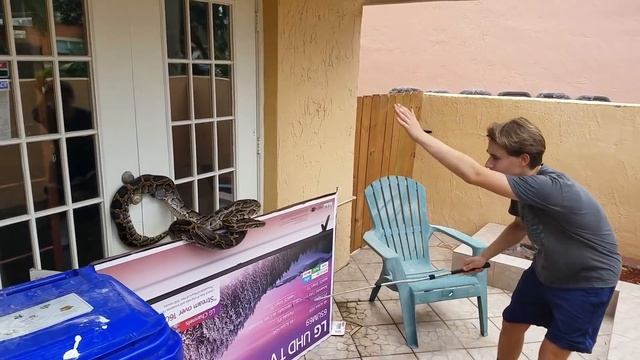 12 FOOT MONSTER Stuck in MY POOL! смотреть онлайн