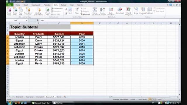 Computer Skills 2 Module 2 Excel Sorting & Subtotal by I Omar Ali from ASU смотреть онлайн