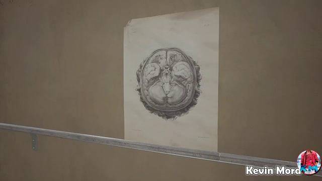 ¿Qué es el POLÍMERO de Atomic Heart? смотреть онлайн