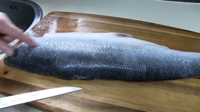 Как разделать Семгу. Мастер-класс по разделке Семги. Fish filleting. How to fillet a Salmon fish смотреть онлайн