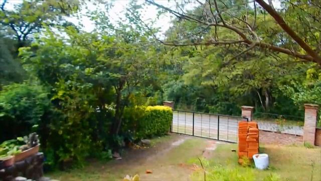 Nikon L830 Macro Test 60fps 1080p - Fotografia Macro Con Cámara Semi Profesional