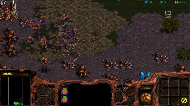 StarCraft Remastered Прохождение #10 Зерги Финал смотреть онлайн
