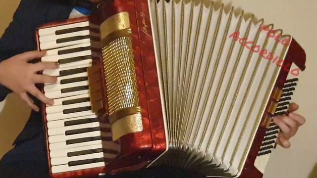 Akordeon Sibylla Brand 80 basów смотреть онлайн