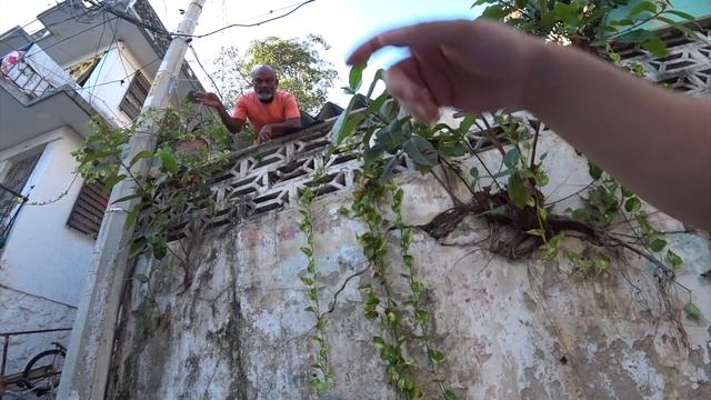 Searching For Trouble in Acapulco ?? смотреть онлайн