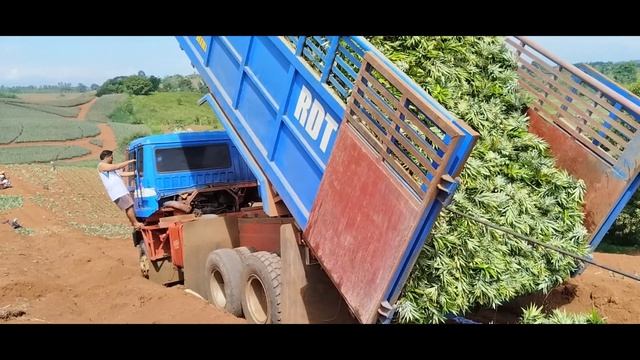 6X6 FUSO MITSUBISHI 8DC9 смотреть онлайн
