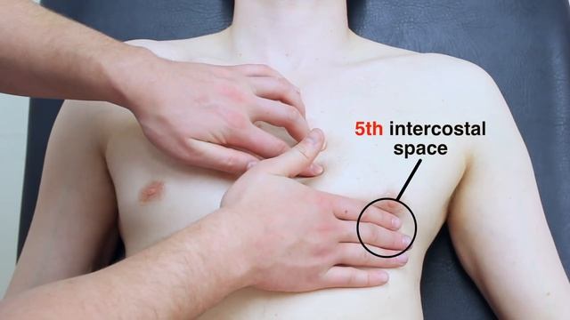 Cardiovascular Examination - OSCE Guide (Old Version) смотреть онлайн