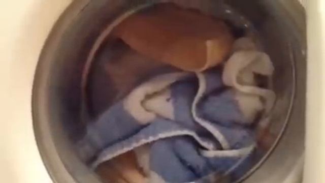 Electrolux EWS 1046- Start Cycle