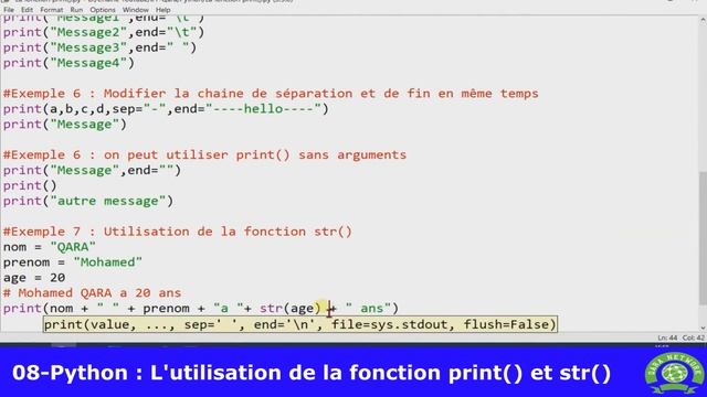 08 - Python [ Darija ] - Utilisation de la fonction print et str смотреть онлайн