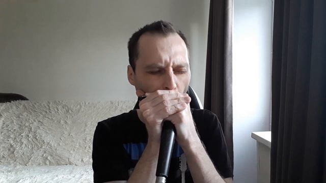 Things Ain't What They Used To Be - Paul Oscher (harmonica cover) смотреть онлайн