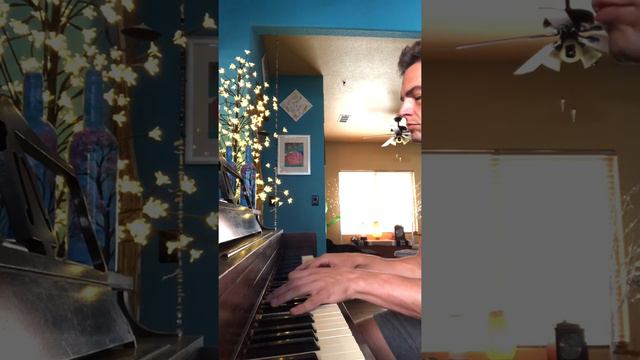 Penguin Bloom Theme (Marcelo Zarvos piano cover) смотреть онлайн