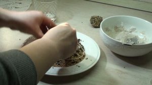 Питательные шарики для птиц.