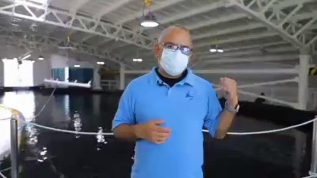 Manejo de tiburon tigre (Galeocerdo cuvier). смотреть онлайн