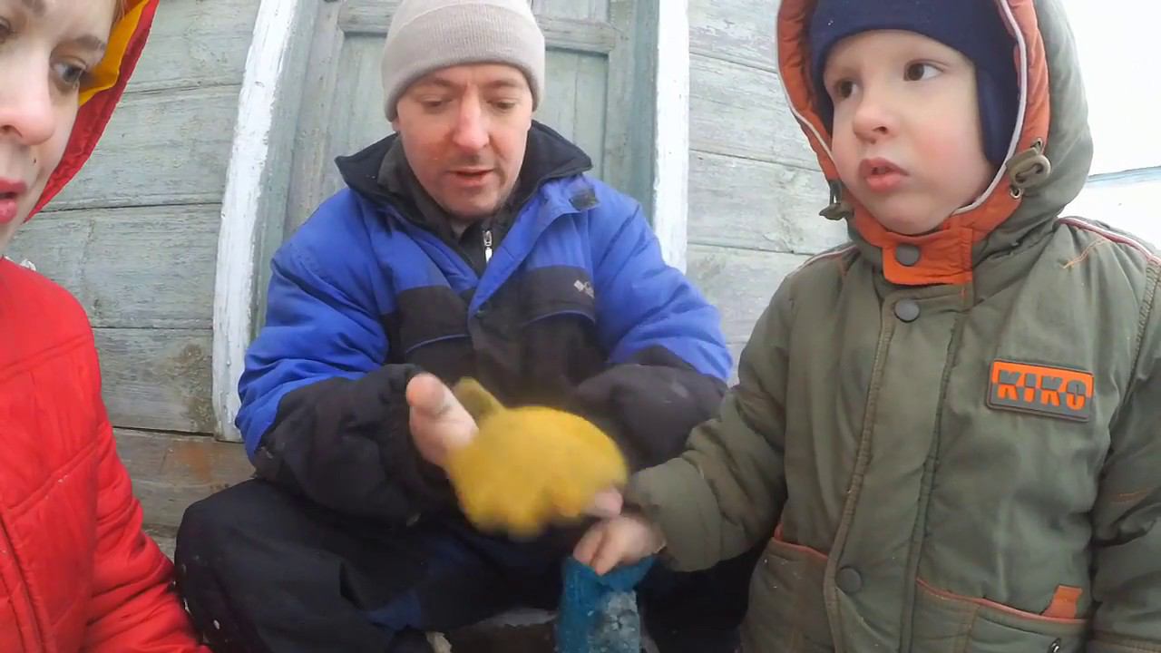 Угольная зола как удобрение? смотреть онлайн