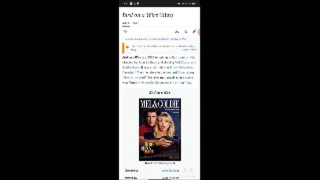 Bird on a Wire Facts and Review in English / Mel Gibson / Goldie Hawn смотреть онлайн