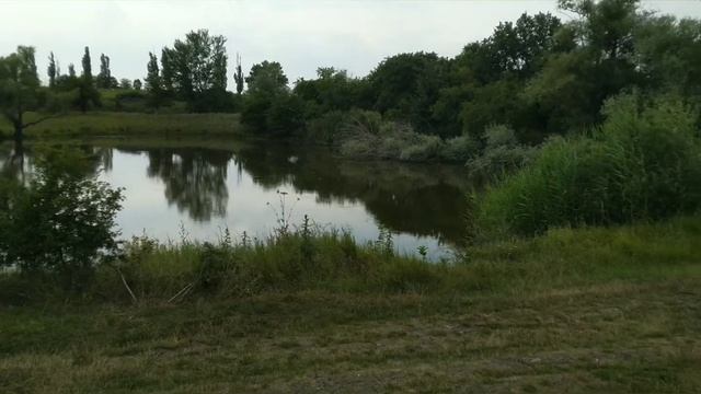 Велопрогулка по полям Адыгеи 10.07.22 смотреть онлайн