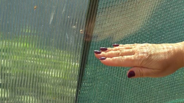 Затеняющая сетка Агротекс для теплицы. Обзор 7 семян. смотреть онлайн