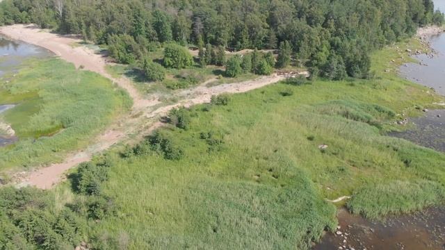 Тропа Южного берега, зарисовки. Пешеходный маршрут по берегу Финского залива смотреть онлайн