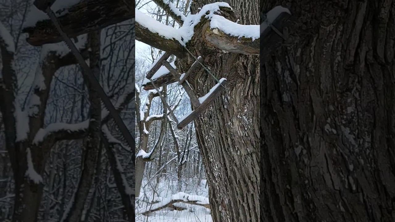 Хейтеры люблю вас! #survival #bushcraft #выживание #бушкрафт #forest #knife смотреть онлайн