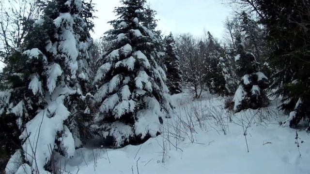 Зимовий ліс зачаровує-The winter forest is charming.DUong Tran - Oppa смотреть онлайн