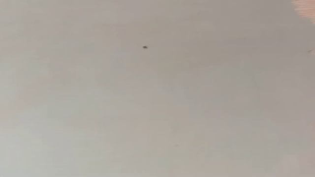 как быстро выровнять стены, под покраску смотреть онлайн