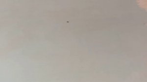 как быстро выровнять стены, под покраску