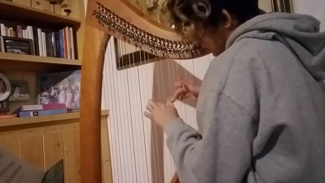 Clair de lune (folk harp) смотреть онлайн