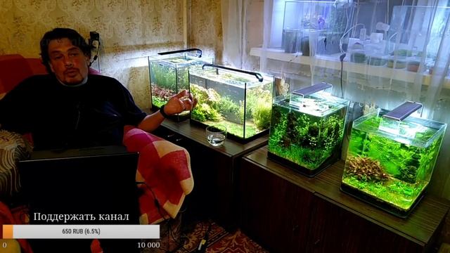 Питательная подложка из земли. Опыт использования.